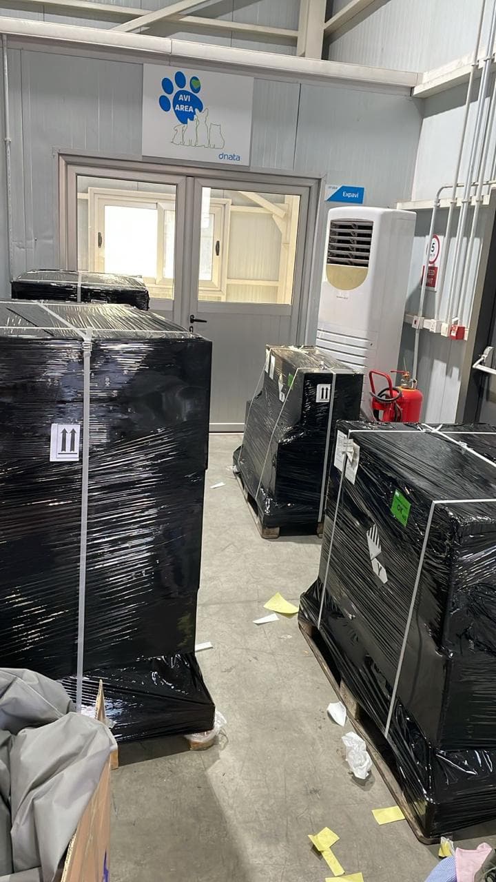 DG Cargo